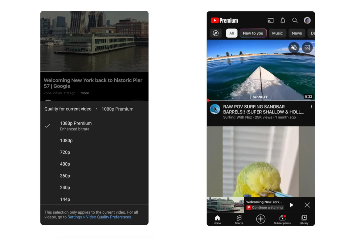 youtube-premium-1080p-reprise-lecture