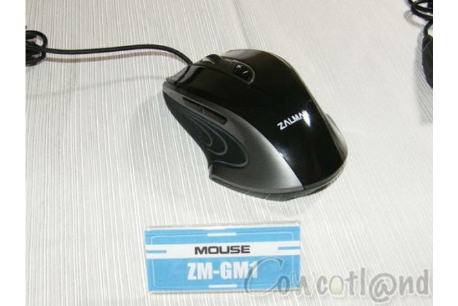 Zalman ZM-GM1 1
