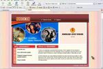zcodec screenshot (Small)